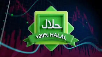 صندوق VOO: ما هو وكيف يمكن الاستمثار به ؟؟؟